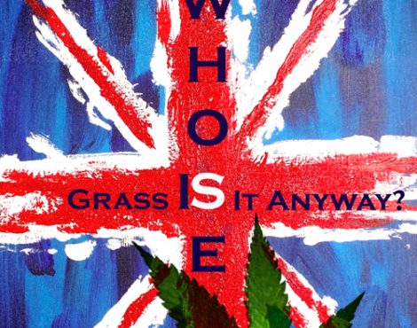Whose Grass Is It Anyway?